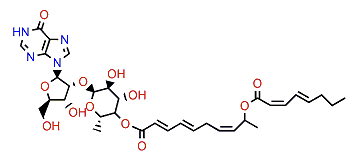 Shimofuridin E